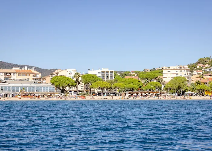 Appartement Les Palmiers By Interhome Sainte-Maxime